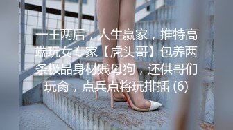 一王两后，人生赢家，推特高端玩女专家【虎头哥】包养两条极品身材贱母狗，还供哥们玩肏，点兵点将玩排插 (6)