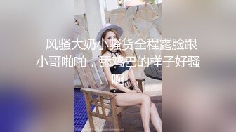 双飞两个母狗