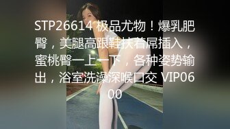 STP22252 人气小女神 奶柔 一个人的快乐你想不到 骚声颤天 鲍鱼湿嗒嗒 一口一个老公 听到有网友还没射 继续自慰 尽心尽责