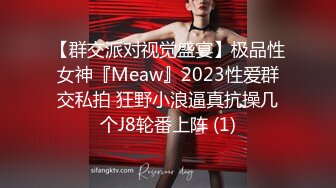 【群交派对视觉盛宴】极品性女神『Meaw』2023性爱群交私拍 狂野小浪逼真抗操几个J8轮番上阵 (1)