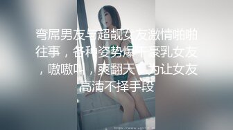  劲爆核弹！高端泄密流出超级漂亮温文儒雅大美女贾雯淫靡媚态吃肉棒