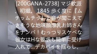 [200GANA-2738] マジ軟派、初撮。 1845 歩く度に『ムチッムチッ』と音が聞こえてきそうな地味顔爆乳お姉さんをナンパ！むっつりスケベな彼女はHな要求も簡単に受け入れて…デカパイを揺らし、