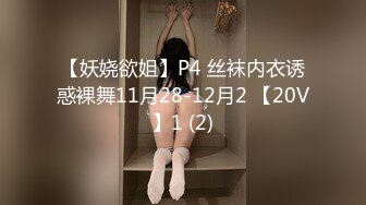 你的可爱小女仆已上线