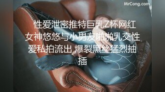 呆哥 重磅豪华精品大片高端约会系列-调教性感网袜车模Amy小艾米