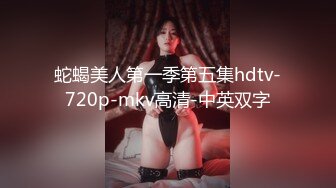 蛇蝎美人第一季第五集hdtv-720p-mkv高清-中英双字