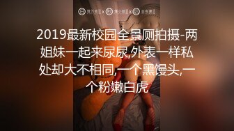 SSS级高颜值尤物阿黎性感实习生 2V