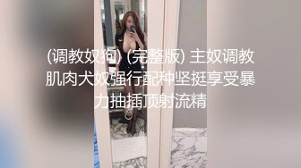 情趣装老婆内射