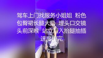 驾车上门找服务小姐姐  粉色包臀裙长腿大奶  埋头口交镜头前深喉  站立后入抬腿抽插速度搞完