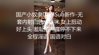 国产小奴隶DomSub新作-无套内射白色小猫咪 女上扭动好上头 羞耻的声音停不下来 全程淫语 国语对白