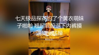 温柔外围小姐姐口交啪啪后入展示完美性爱新晋大神劲爆力作