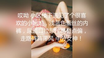 国产AV 葫芦影业 HLW013 农民工大战高傲母女