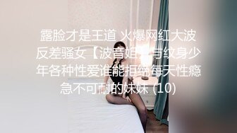 MCY-0253 凌薇 大胸美女学防狼反被操解放性欲之秋 麻豆传媒映画