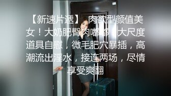 极品【哈密瓜奶】大大巨乳，球一样，车震，爽死啦！