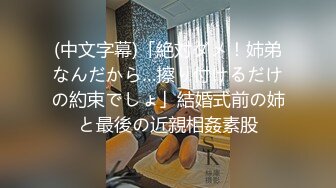 (中文字幕)「絶対ダメ！姉弟なんだから…擦り付けるだけの約束でしょ」結婚式前の姉と最後の近親相姦素股