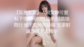 长腿美乳网红『可爱的小胖丁』激情啪啪新作-激烈车震持久战 无套顶操内射 高清私拍24P