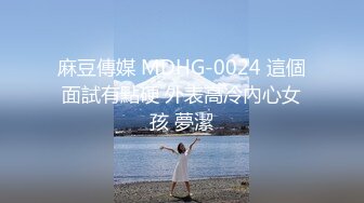 麻豆傳媒 MDHG-0024 這個面試有點硬 外表高冷內心女孩 夢潔