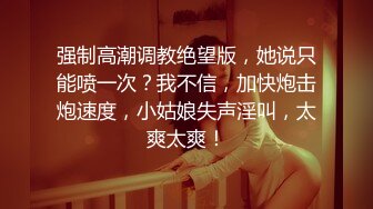 泄密流出❤️极品反差婊南京女大美女与社会纹身男友各种场合性爱自拍不雅视频