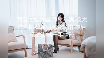   探花李寻欢500块一天租个美女 假冒女友回家过年惹怒我动真格 - 美酱