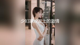 少妇家沙发上的激情