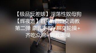 母狗系列 继续骚穴的展示