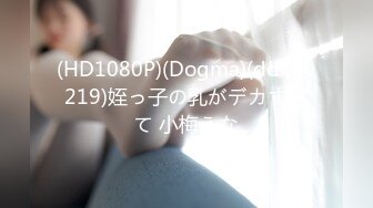 (HD1080P)(Dogma)(ddk00219)姪っ子の乳がデカすぎて 小梅えな