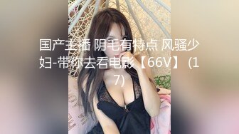 国产主播 阴毛有特点 风骚少妇-带你去看电影【66V】 (17)