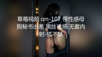 草莓视频 cm-107 带性感母狗秘书出差 黑丝诱惑 无套内射-狐不妖