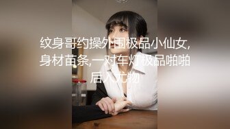 纹身哥约操外围极品小仙女,身材苗条,一对车灯极品啪啪后入尤物