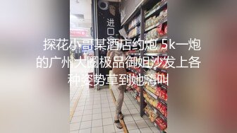   探花小哥某酒店约炮 5k一炮的广州大圈极品御姐沙发上各种姿势草到她嗨叫