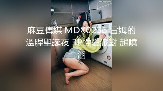 麻豆傳媒 MDX0256 雷姆的溫腥聖誕夜 3P性愛派對 趙曉涵