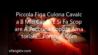 Piccola Figa Culona Cavalca Il Mio Cazzo E Si Fa Scopare A Pecorina Coppia Amatoriale - Pornhub.Com