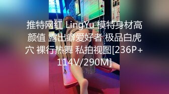 推特网红 LingYu 模特身材高颜值 露出癖爱好者 极品白虎穴 裸行热舞 私拍视图[236P+114V/290M]