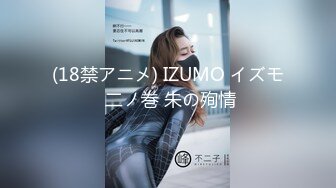 (18禁アニメ) IZUMO イズモ 二ノ巻 朱の殉情