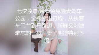 七夕凌晨 带着兔兔骚妻驾车公园，全裸露出打炮，从扶着车门艹到马路边，新鲜又刺激难忘的一夜，妻子叫得特别下流！