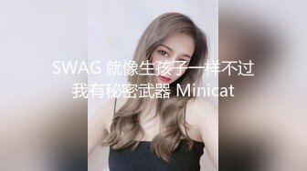 SWAG 就像生孩子一样不过我有秘密武器 Minicat