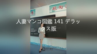 人妻マンコ図鑑 141 デラックス版