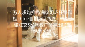 万人求购推特满纹阴环狂野御姐chloe自拍淫乱视图+WX门槛肛交SM调教户外露出啪啪绝对火爆