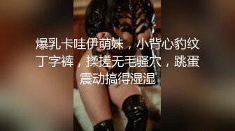 爆乳卡哇伊萌妹，小背心豹纹丁字裤，揉搓无毛骚穴，跳蛋震动搞得湿湿