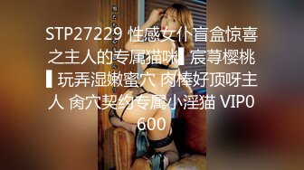 STP27229 性感女仆盲盒惊喜之主人的专属猫咪▌宸荨樱桃▌玩弄湿嫩蜜穴 肉棒好顶呀主人 肏穴契约专属小淫猫 VIP0600