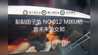 黏黏团子兔 NO.012 MIKU初音未来兔女郎