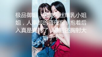 极品御姐，完美黑丝爆乳小姐姐，人事部的骚母狗，抱着后入真是爽死了，最后还胸射大奶子！