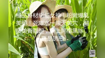 高颜值性感孕妇【小点点】超漂亮的极品孕妇天天都被干~丝袜美腿~骑乘自慰【92V】 (20)