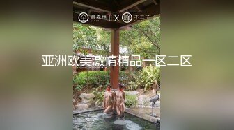 亚洲欧美激情精品一区二区