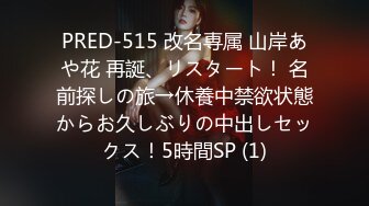 PRED-515 改名専属 山岸あや花 再誕、リスタート！ 名前探しの旅→休養中禁欲状態からお久しぶりの中出しセックス！5時間SP (1)