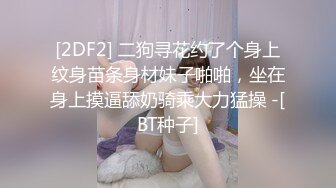 [2DF2] 二狗寻花约了个身上纹身苗条身材妹子啪啪，坐在身上摸逼舔奶骑乘大力猛操 -[BT种子]