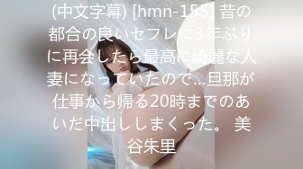 (中文字幕) [hmn-155] 昔の都合の良いセフレに3年ぶりに再会したら最高に綺麗な人妻になっていたので…旦那が仕事から帰る20時までのあいだ中出ししまくった。 美谷朱里