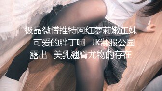 极品微博推特网红萝莉嫩正妹✿可爱的胖丁啊✿JK制服公园露出✿美乳翘臀尤物的存在