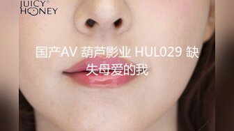 国产AV 葫芦影业 HUL029 缺失母爱的我